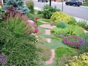 Custom outdoor landscaping experts serving Indian Hills, CO - McMahon Landscape