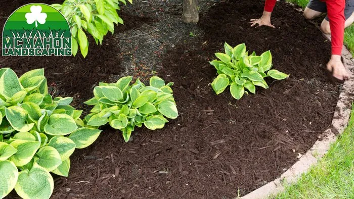Custom yard maintenance experts serving Red Hill, PA - McMahon Landscaping