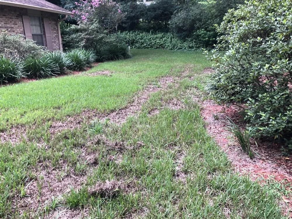 Reliable yard maintenance in De Leon Springs, FL by McMaster Lawn & Pest Services