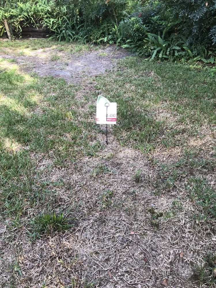 Top-rated yard cleanup service for residential properties in De Leon Springs, FL by McMaster Lawn & Pest Services