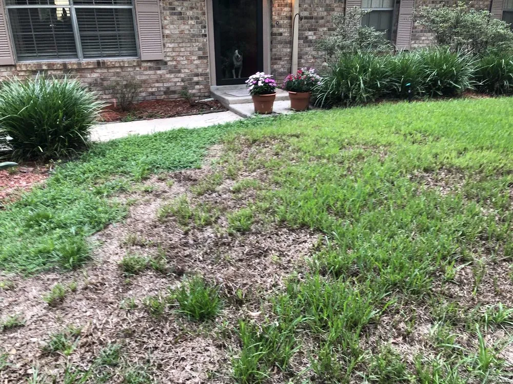 Local lawn mowing service experts serving De Leon Springs, FL - McMaster Lawn & Pest Services