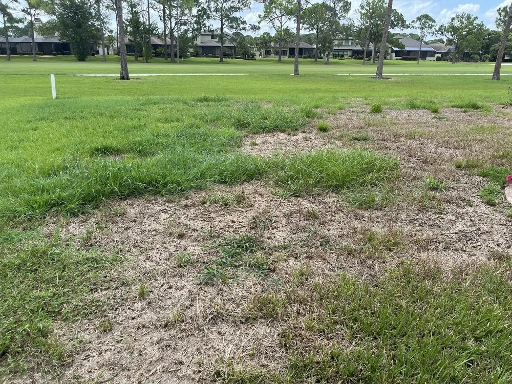 Professional residential landscaping in De Leon Springs, FL by McMaster Lawn & Pest Services