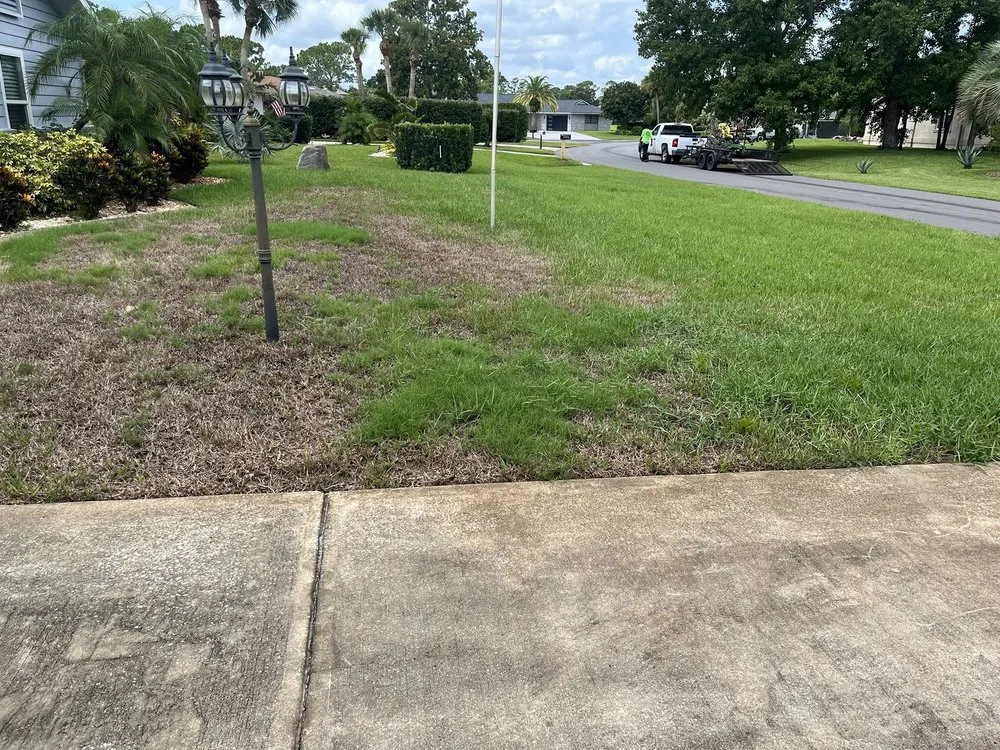 Professional landscaping services experts serving De Leon Springs, FL - McMaster Lawn & Pest Services