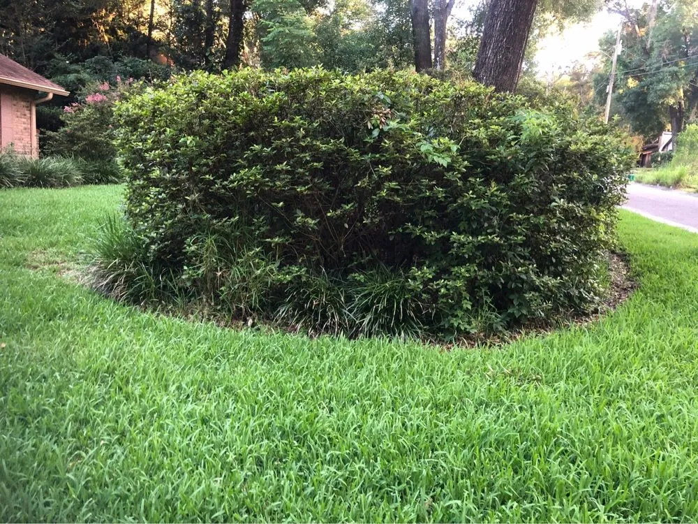 Reliable landscape design experts serving De Leon Springs, FL - McMaster Lawn & Pest Services
