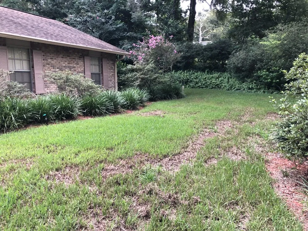 Reliable outdoor landscaping experts serving De Leon Springs, FL - McMaster Lawn & Pest Services