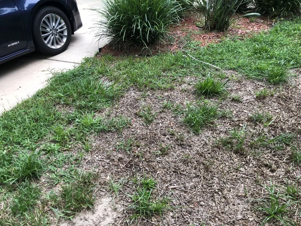 Expert residential landscaping for beautiful yards across De Leon Springs, FL - McMaster Lawn & Pest Services