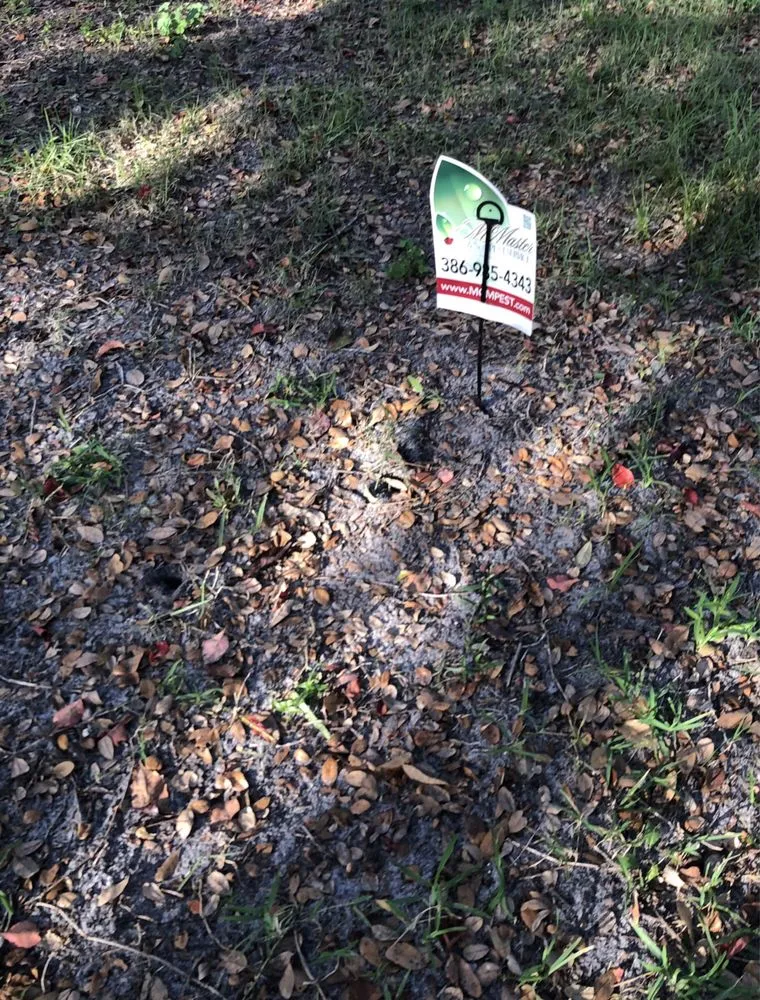 Affordable garden landscaping in De Leon Springs, FL by McMaster Lawn & Pest Services