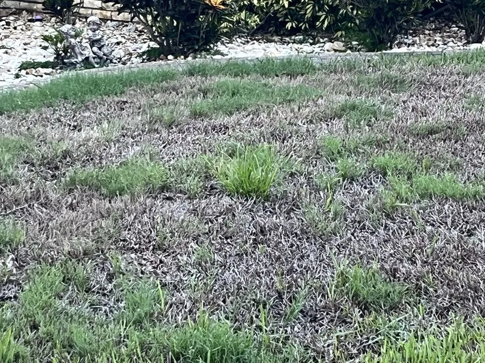 Professional yard cleanup service in De Leon Springs, FL - McMaster Lawn & Pest Services