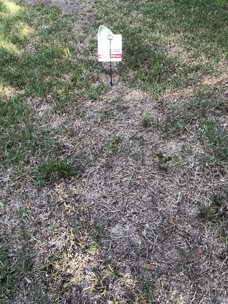 Trusted yard maintenance for outdoor upgrades across De Leon Springs, FL - McMaster Lawn & Pest Services