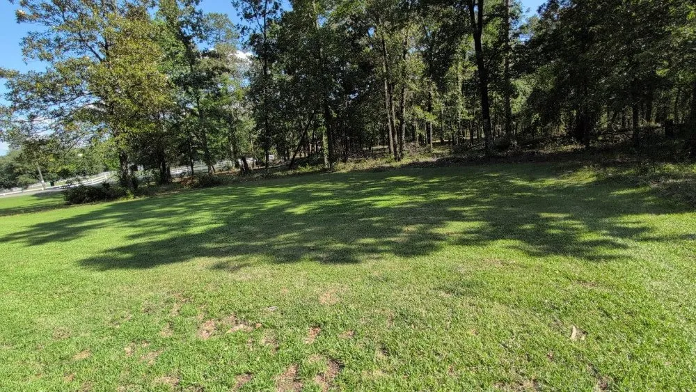 Professional landscape design for outdoor upgrades across Augusta, GA - McMiller Lawn Care