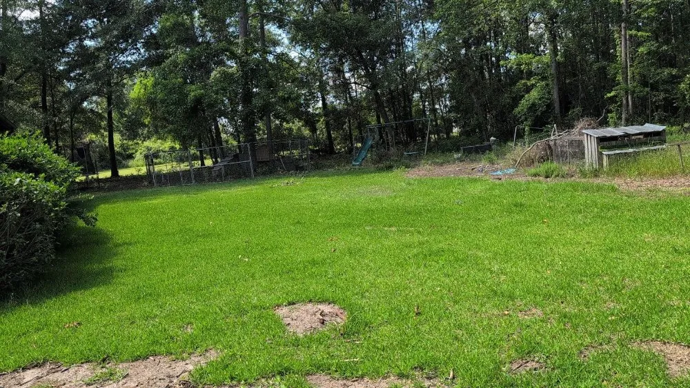 Expert yard cleanup service in Augusta, GA by McMiller Lawn Care