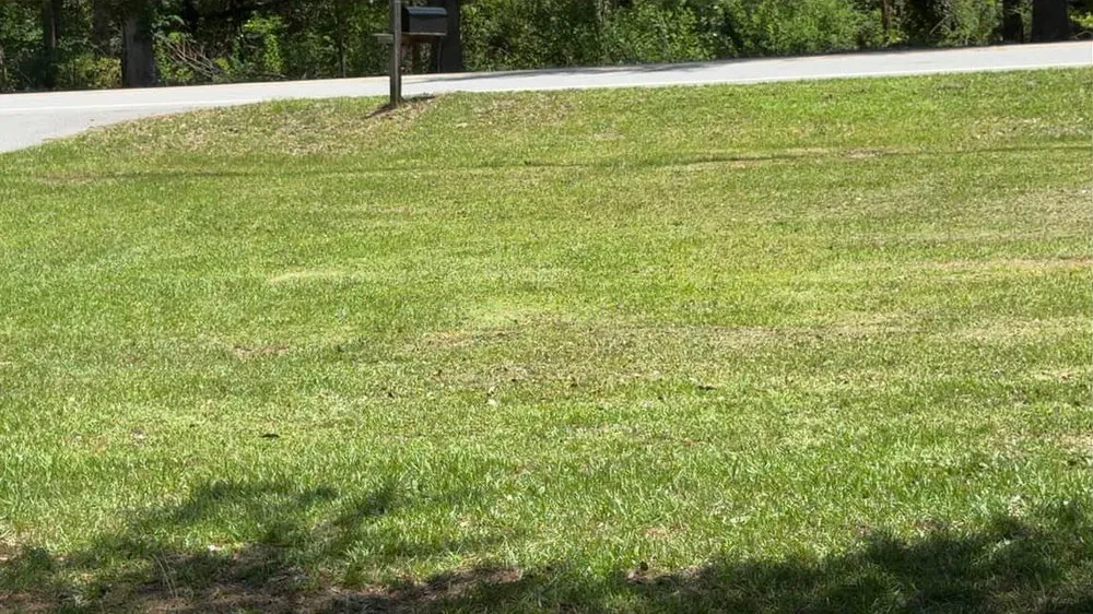 Top-rated residential landscaping in Augusta, GA - McMiller Lawn Care