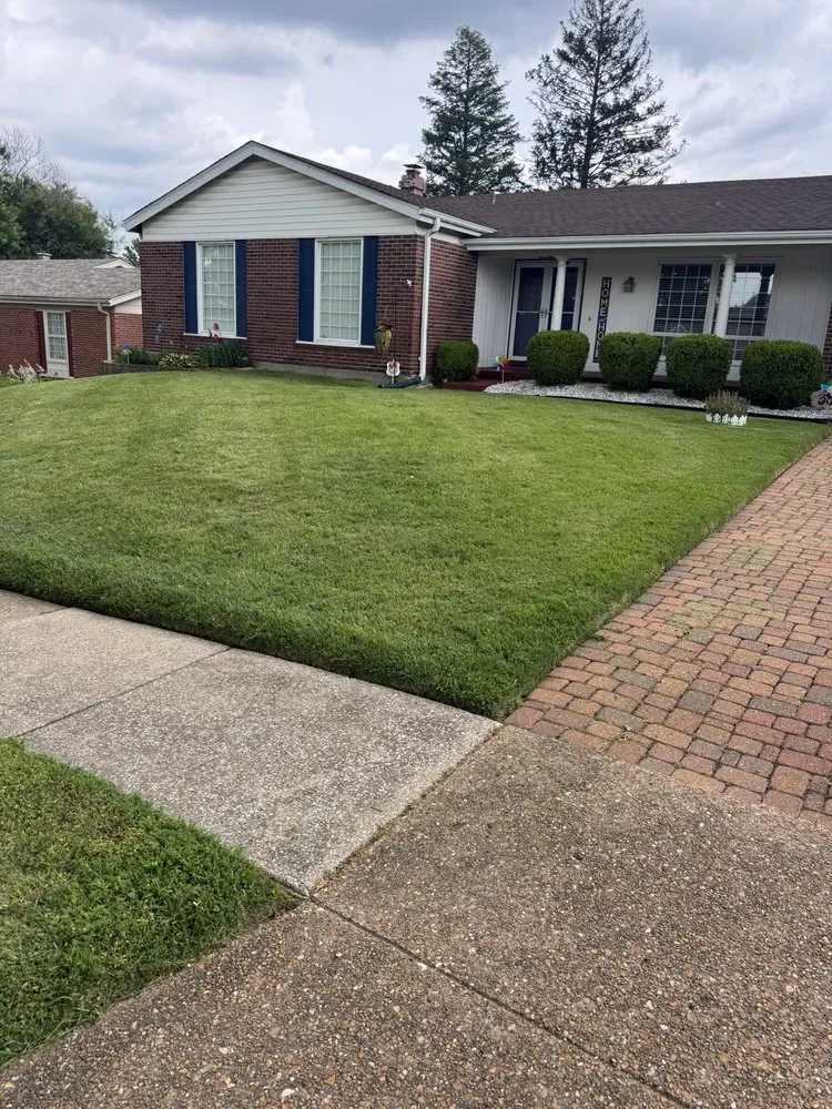 Custom lawn care service in Saint Louis, MO by Mcmillian Lawn Service