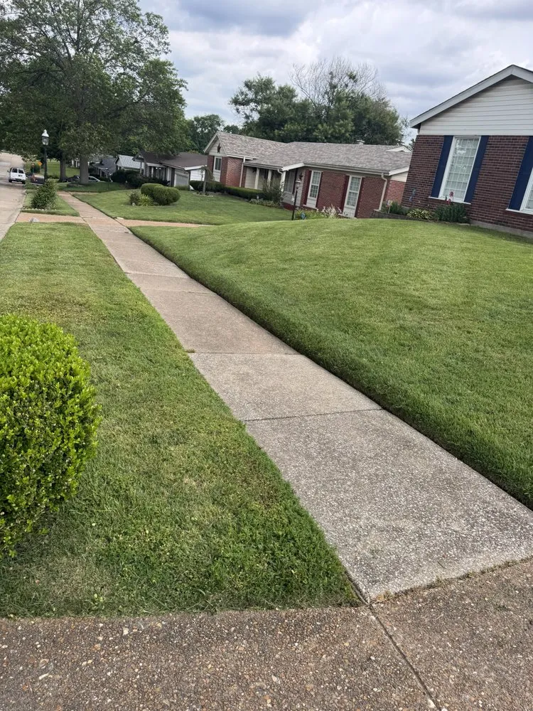 Reliable yard cleanup service for beautiful yards in Saint Louis, MO by Mcmillian Lawn Service