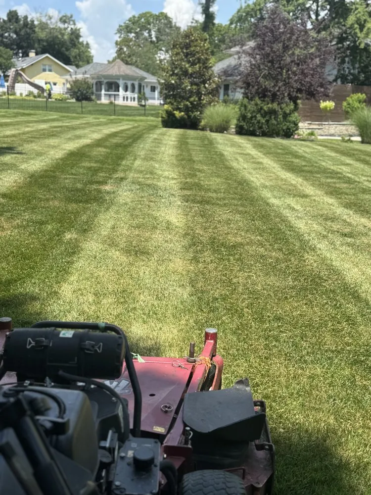 Professional landscape installation in Saint Louis, MO by Mcmillian Lawn Service