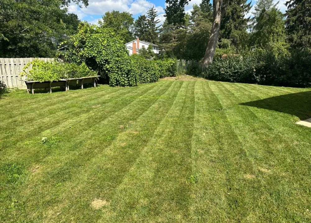 Expert yard cleanup service in East Lansing, MI by McMillin Lawn Care & Property Management