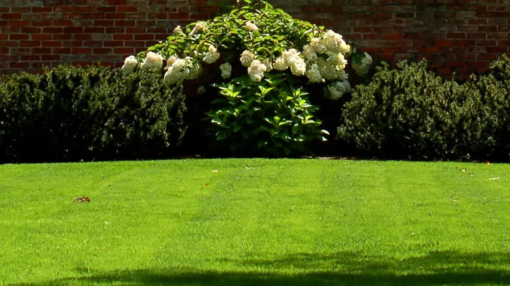 Expert yard maintenance with custom design in Greenville, NC by MC.MowerDreams