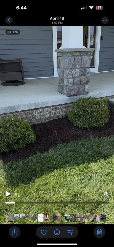 Expert yard cleanup service in Winchester, KY by McMulch