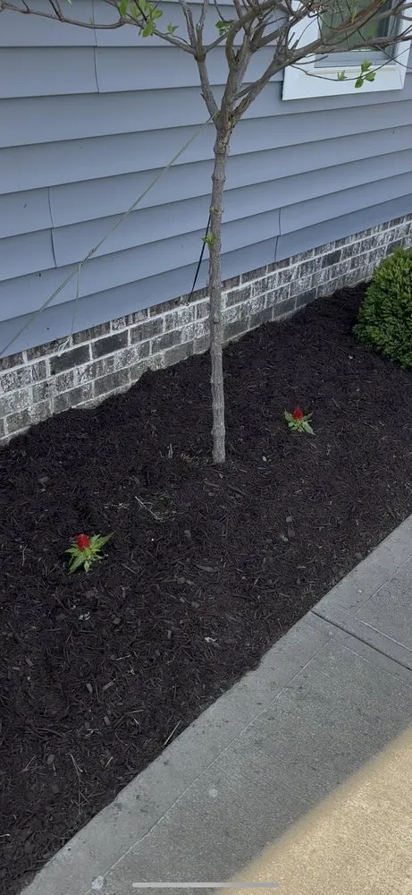 Local landscape installation in Winchester, KY by McMulch