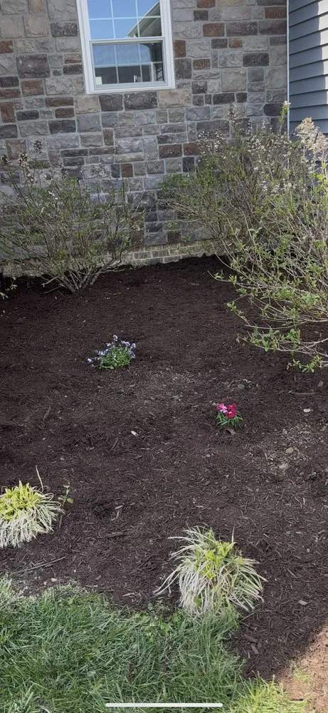 Expert lawn care service for year-round maintenance across Winchester, KY - McMulch