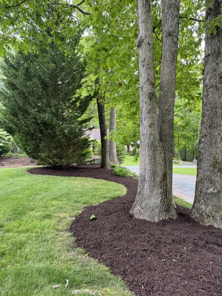 Top-rated lawn mowing service for residential properties across Hendersonville, NC - McMurray Lawncare & Landscaping