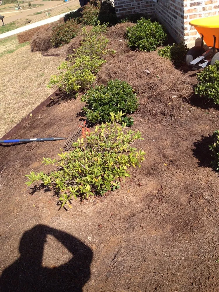 Affordable garden landscaping in Ruston, LA - McNabb Lawncare & Landscaping