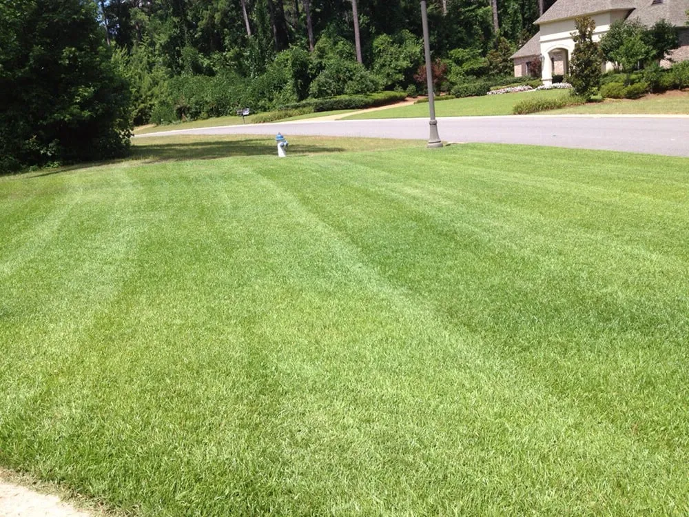 Local yard maintenance for beautiful yards across Ruston, LA - McNabb Lawncare & Landscaping