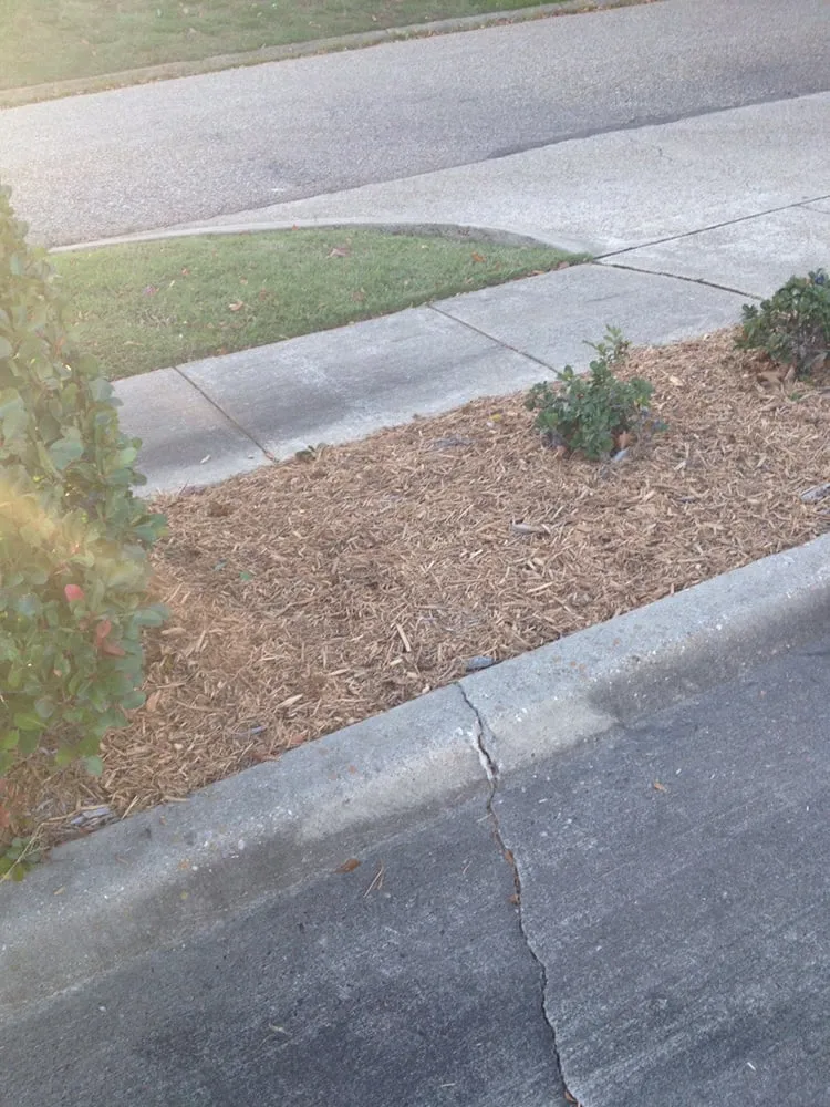 Local landscape installation for homes across Ruston, LA - McNabb Lawncare & Landscaping