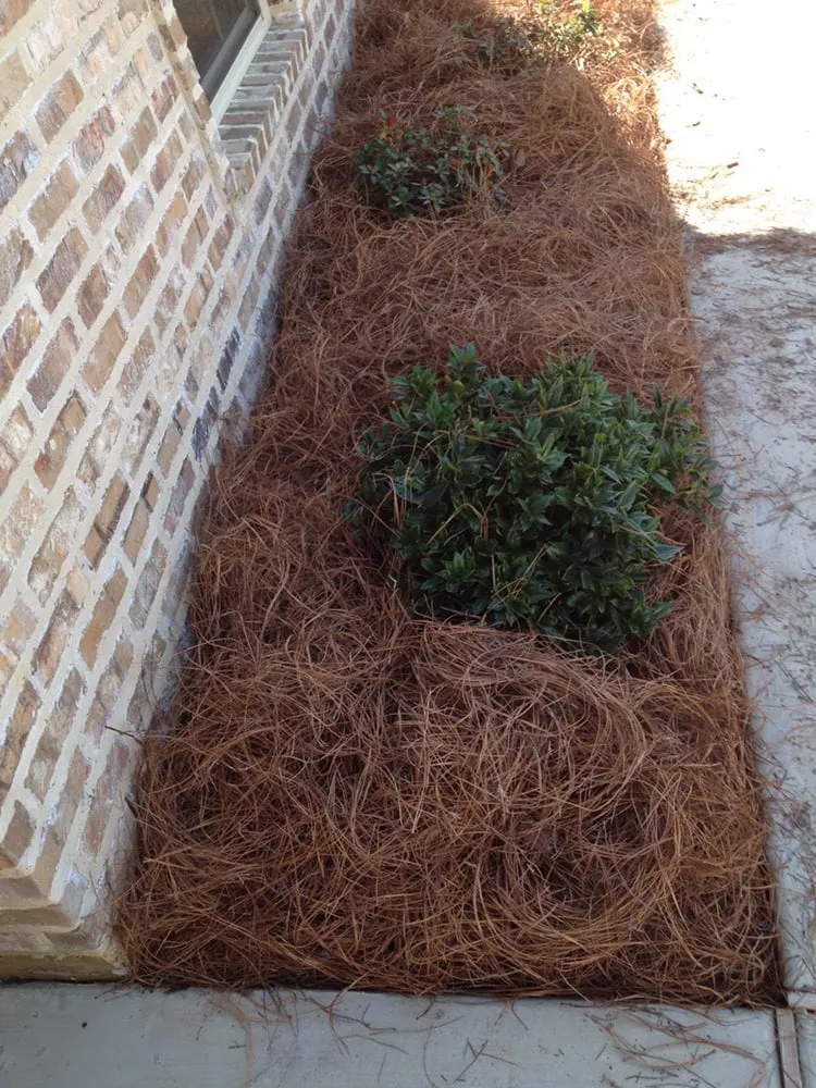 Custom landscape installation for year-round maintenance in Ruston, LA by McNabb Lawncare & Landscaping