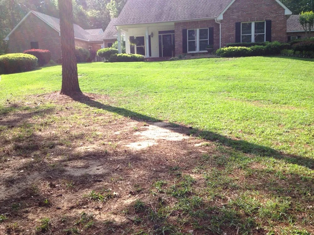 Local outdoor landscaping in Ruston, LA by McNabb Lawncare & Landscaping