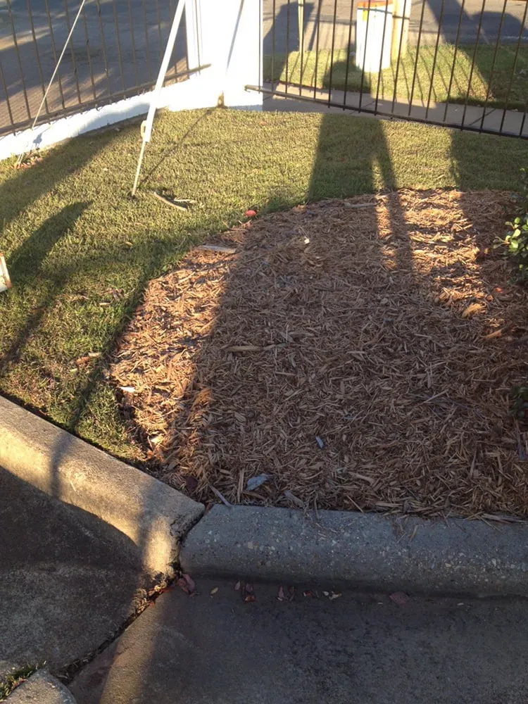 Professional outdoor landscaping in Ruston, LA by McNabb Lawncare & Landscaping