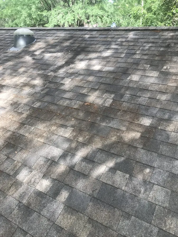 Trusted landscaping services in Jacksonville, FL by McNallys Lawn care