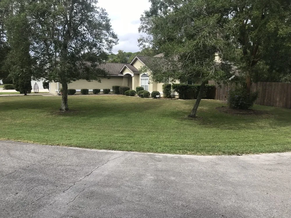 Expert yard cleanup service in Jacksonville, FL - McNallys Lawn care