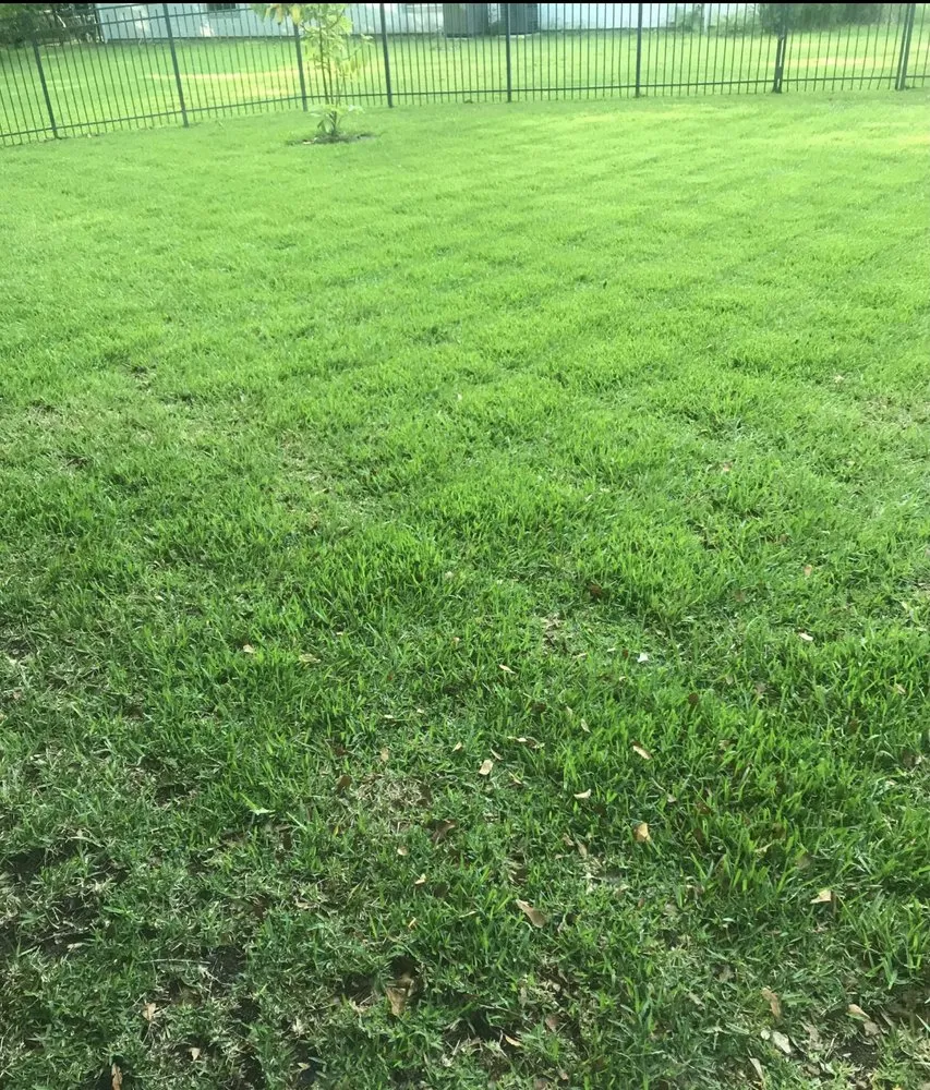 Trusted yard cleanup service near you across Jacksonville, FL - McNallys Lawn care