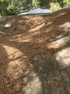 McNallys Lawn care Logo