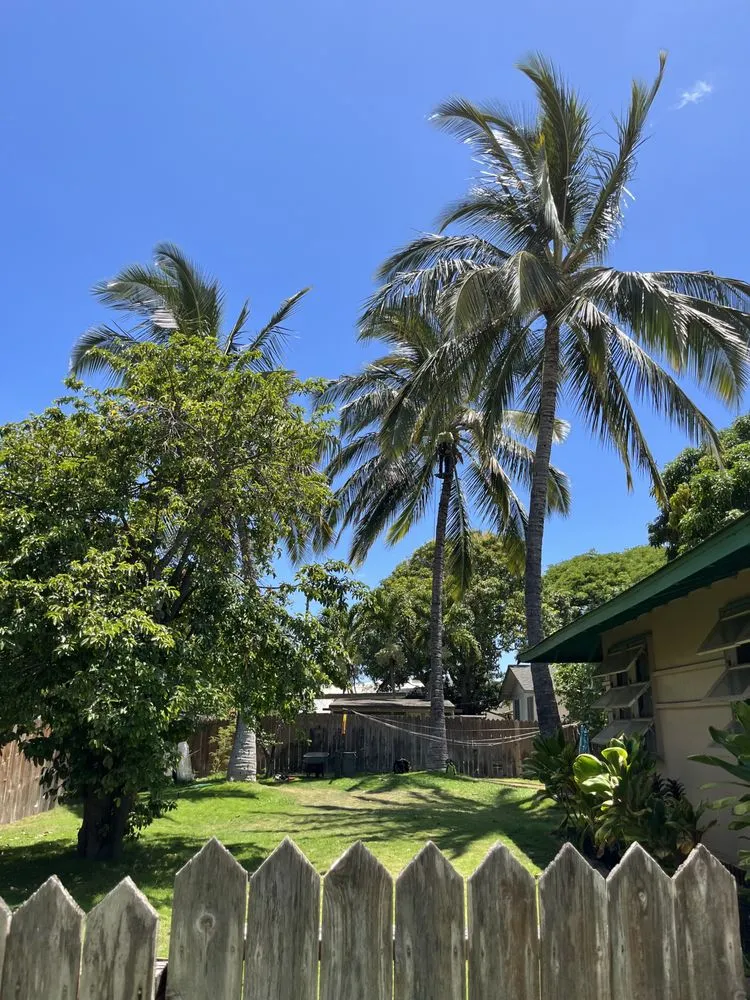 Professional outdoor landscaping near you across Kekaha, HI - McNamee Trees