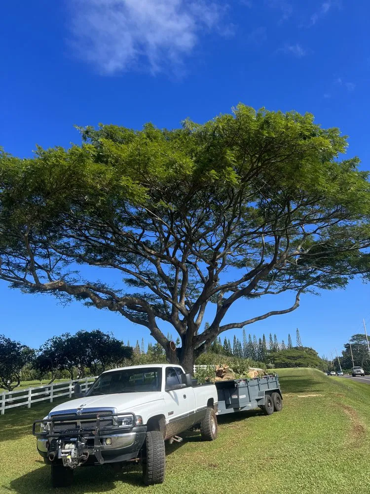 Affordable landscape installation experts serving Kekaha, HI - McNamee Trees
