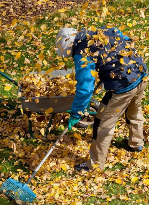 Reliable lawn mowing service experts serving Chagrin Falls, OH - McNavish Lawncare and Landscaping