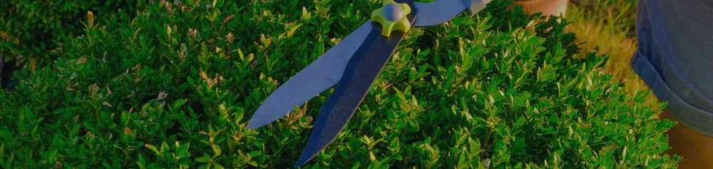 Local yard cleanup service experts serving Chagrin Falls, OH - McNavish Lawncare and Landscaping