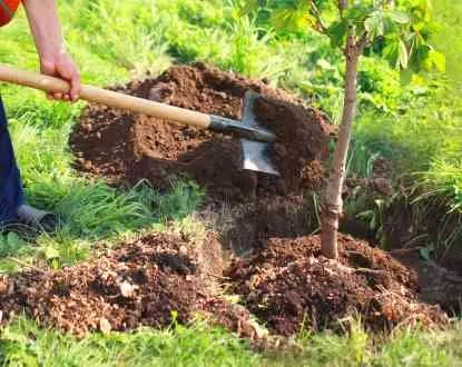 Trusted lawn care service for beautiful yards across Chagrin Falls, OH - McNavish Lawncare and Landscaping