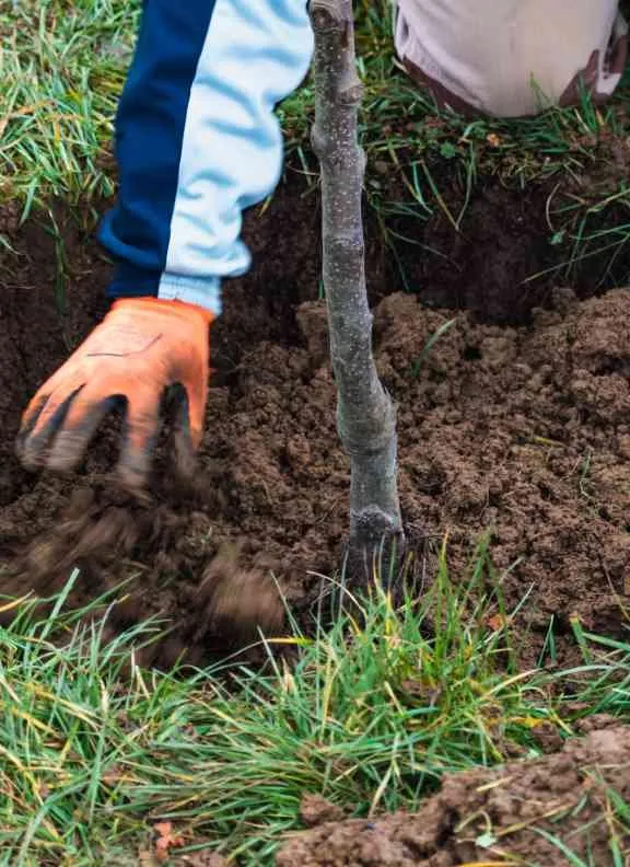 Local lawn mowing service in Chagrin Falls, OH by McNavish Lawncare and Landscaping