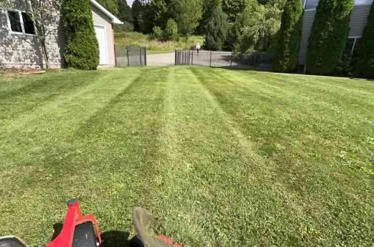 Custom yard cleanup service in Chagrin Falls, OH by McNavish Lawncare and Landscaping