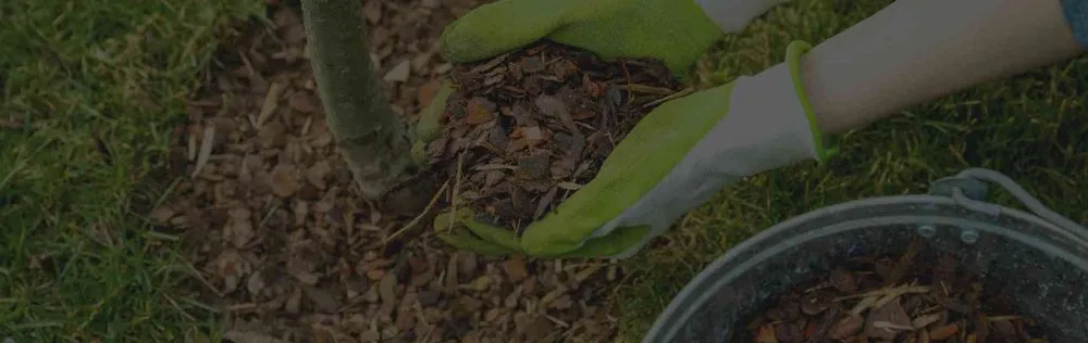 Affordable lawn mowing service near you across Chagrin Falls, OH - McNavish Lawncare and Landscaping