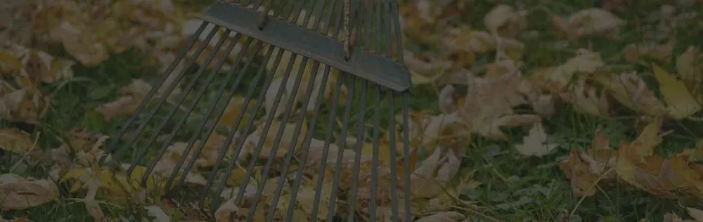 Top-rated garden landscaping experts serving Chagrin Falls, OH - McNavish Lawncare and Landscaping