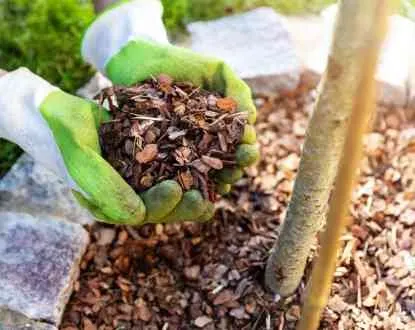 Reliable lawn mowing service experts serving Chagrin Falls, OH - McNavish Lawncare and Landscaping