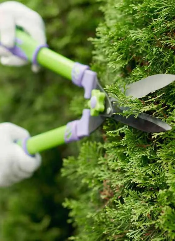 Affordable yard cleanup service experts serving Chagrin Falls, OH - McNavish Lawncare and Landscaping