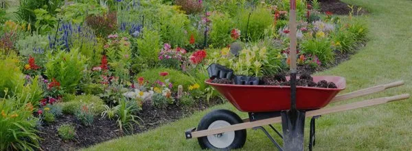 McNavish Lawncare and Landscaping Logo