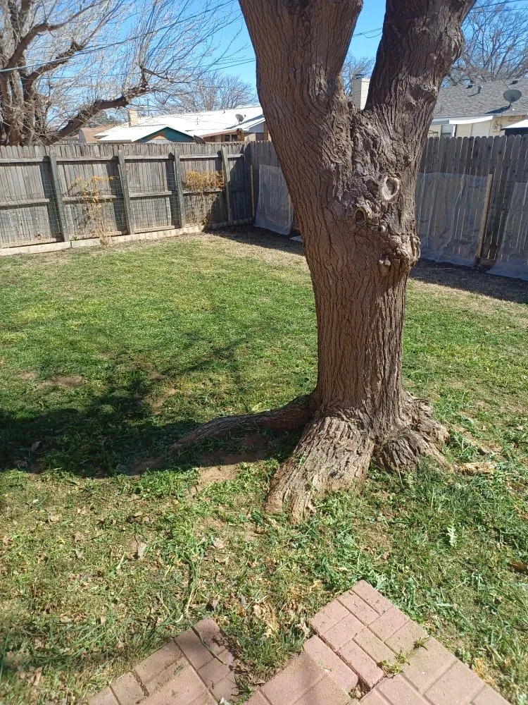 Expert residential landscaping near you in Lubbock, TX by McNeal