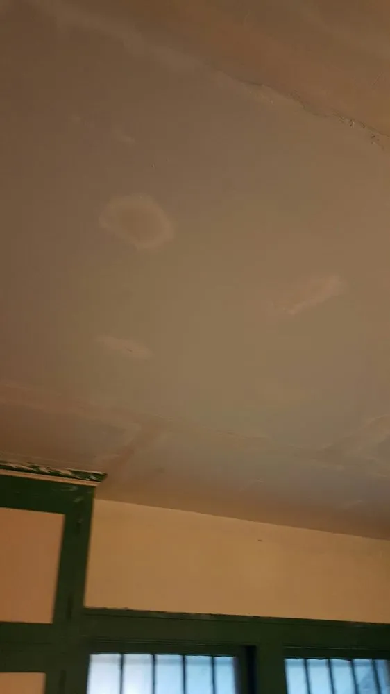 Expert outdoor landscaping in Davenport, IA by Mcneal's Painting & Drywalling