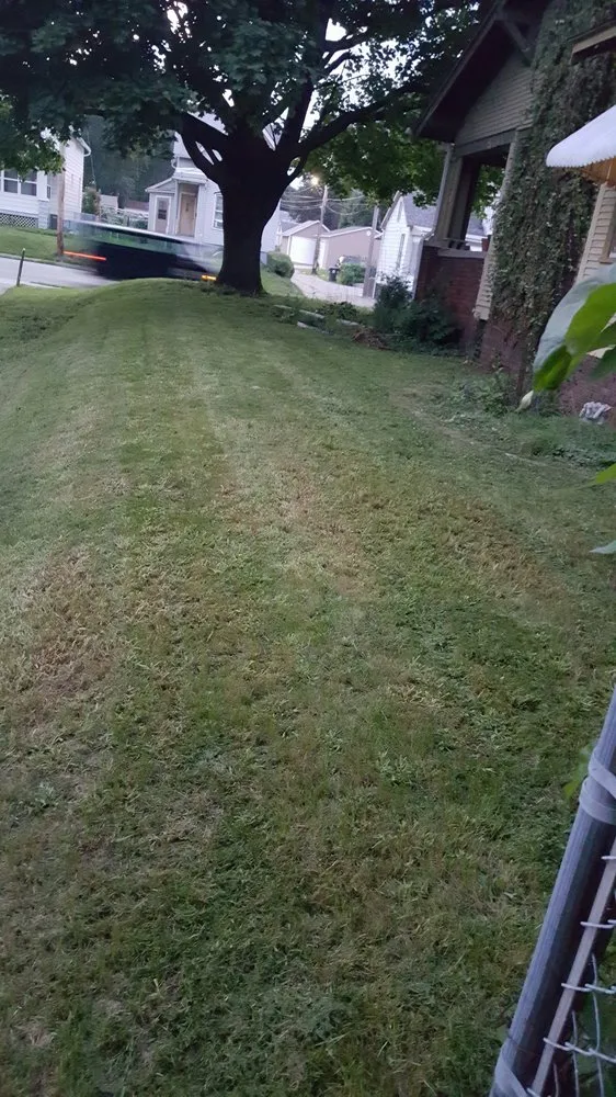 Trusted residential landscaping in Davenport, IA by Mcneal's Painting & Drywalling